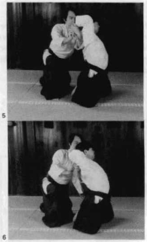 Daitoryu photo 73