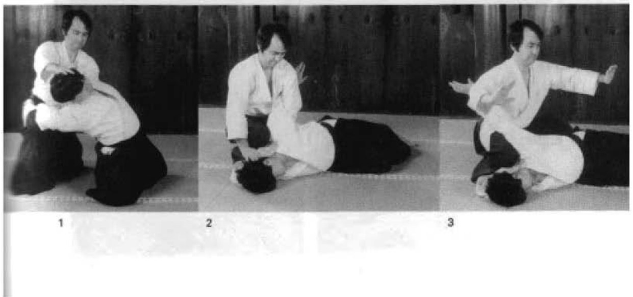 Daitoryu photo 75