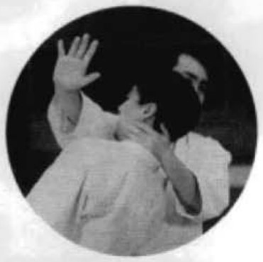 Daitoryu photo 76