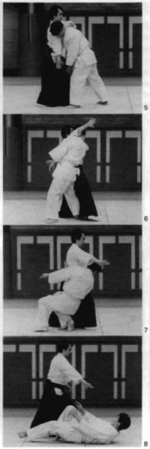 Daitoryu photo 78