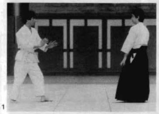 Daitoryu photo 79