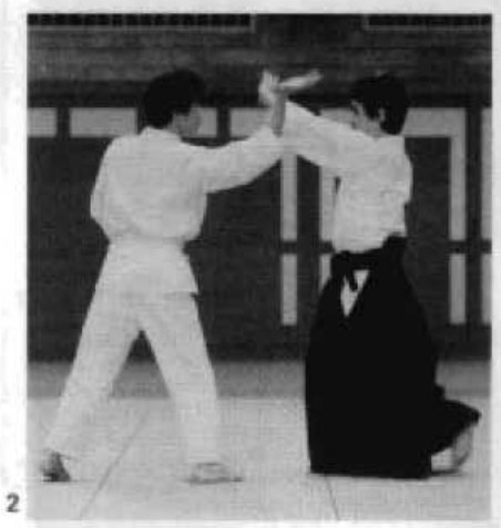 Daitoryu photo 81