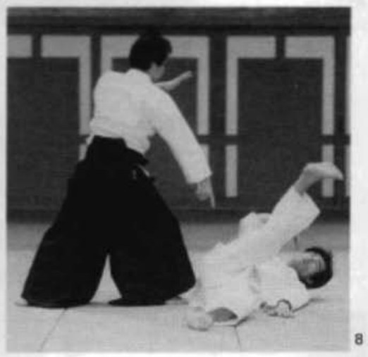 Daitoryu photo 85