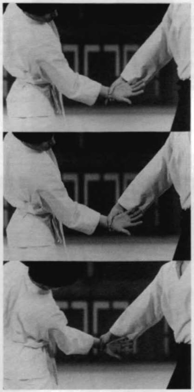 Daitoryu photo 87