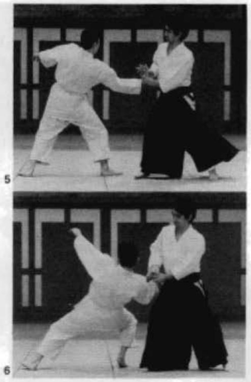Daitoryu photo 89