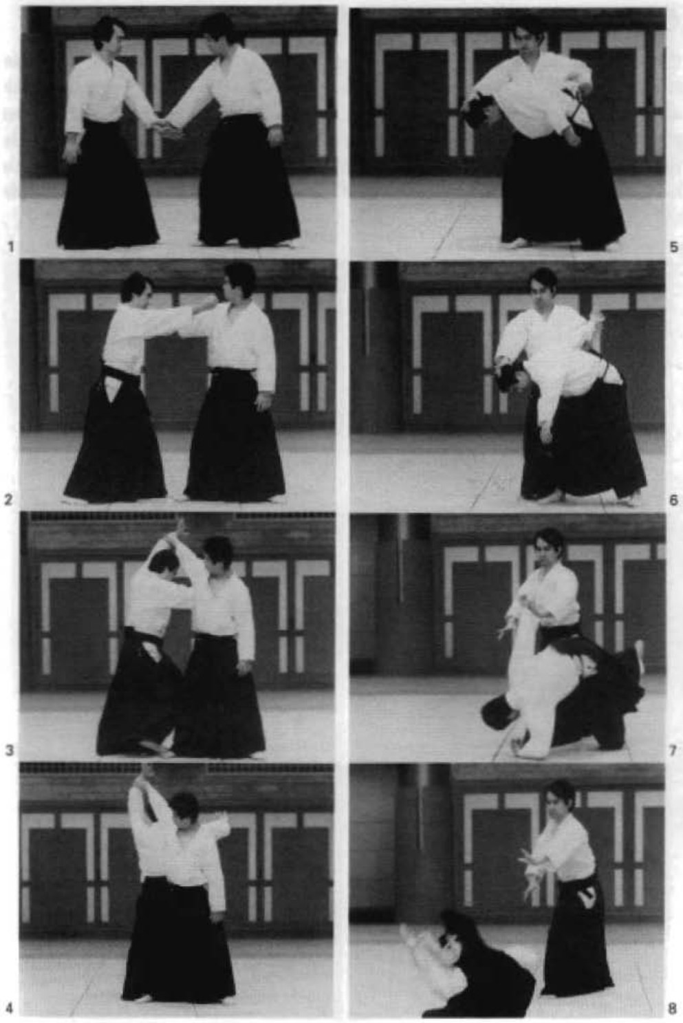 Daitoryu photo 94