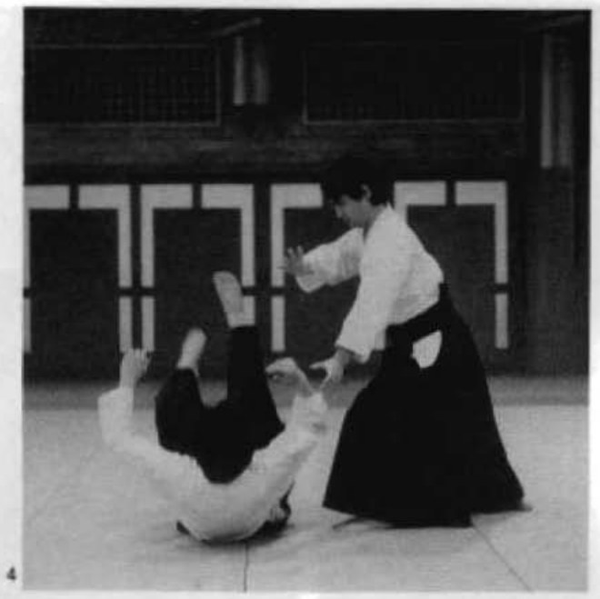 Daitoryu photo 97