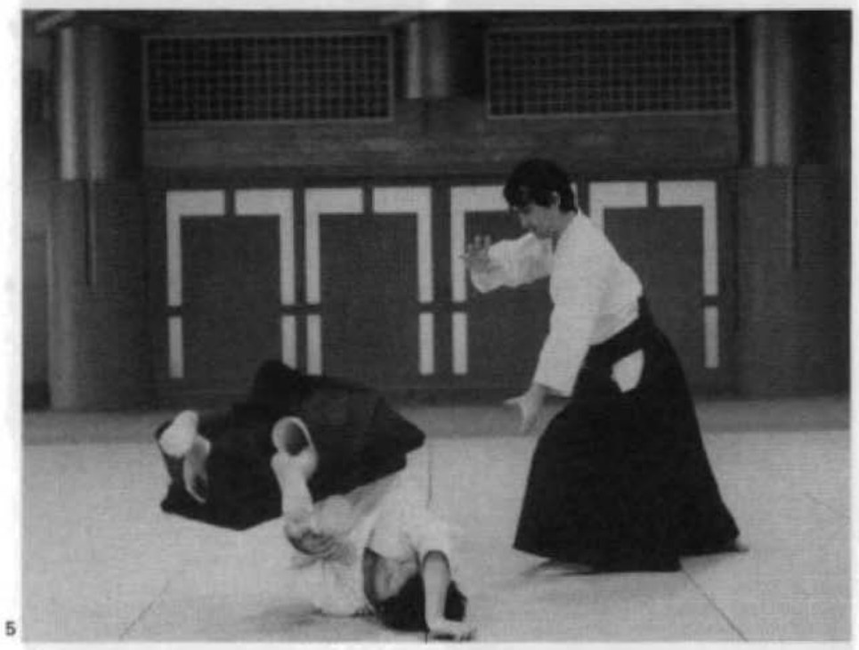 Daitoryu photo 98