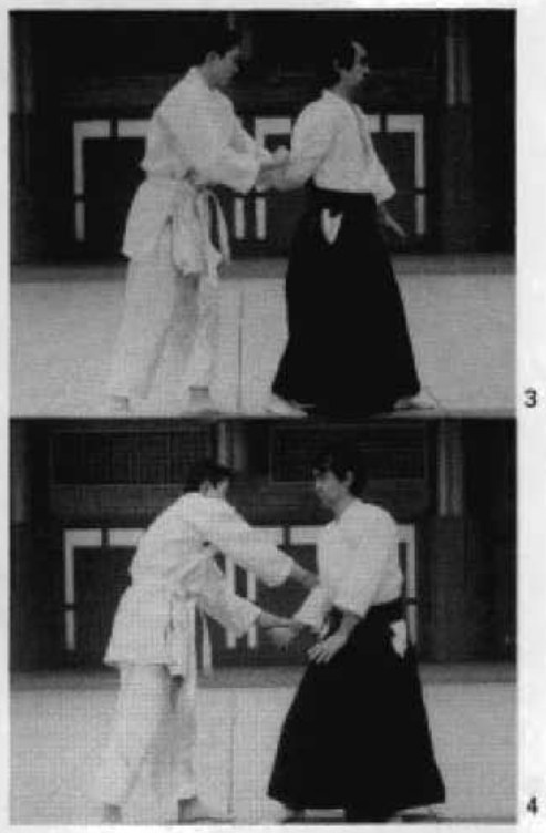 Daitoryu photo 99