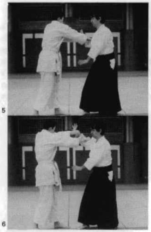 Daitoryu photo 102