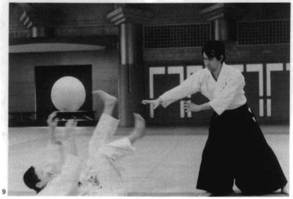 Daitoryu photo 104