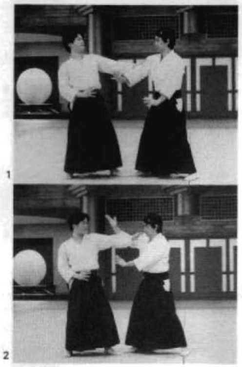 Daitoryu photo 106