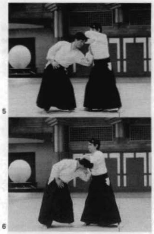 Daitoryu photo 107