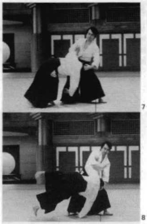 Daitoryu photo 108