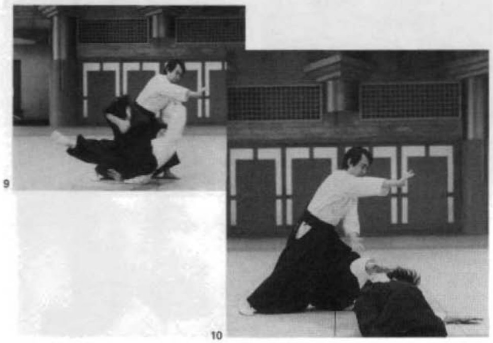 Daitoryu photo 109
