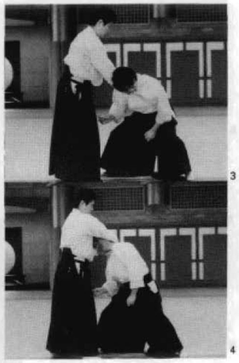 Daitoryu photo 110