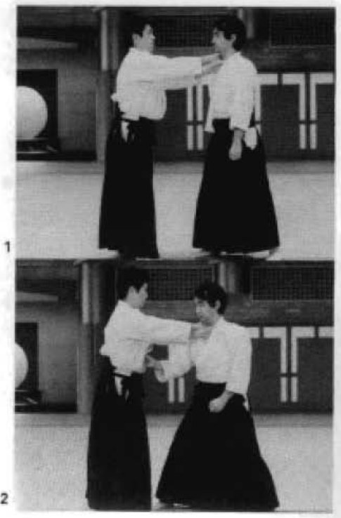 Daitoryu photo 111