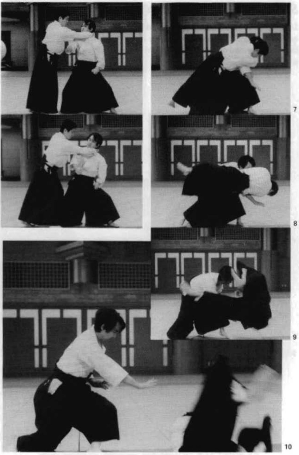 Daitoryu photo 112