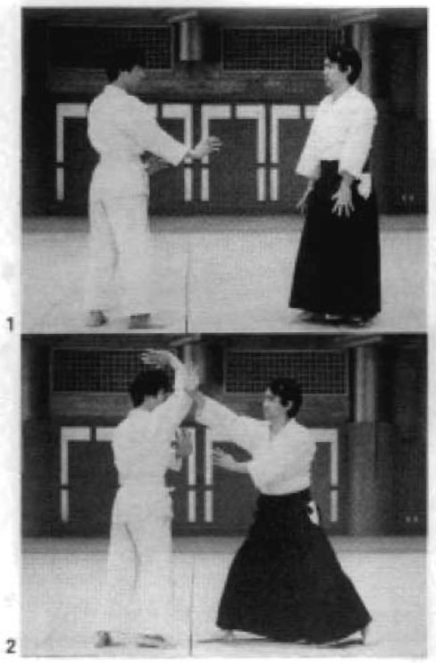 Daitoryu photo 113