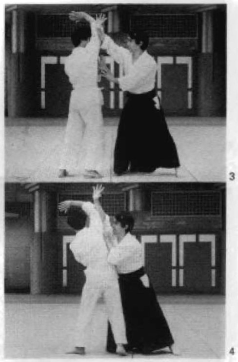 Daitoryu photo 114