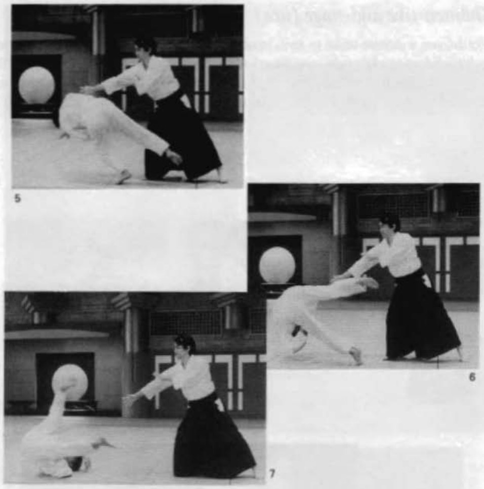 Daitoryu photo 115