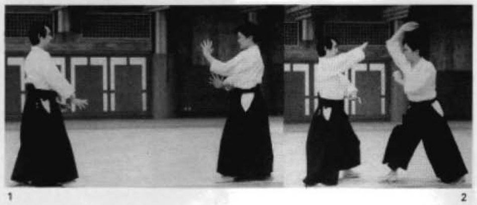 Daitoryu photo 117