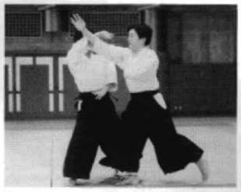 Daitoryu photo 118