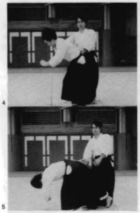 Daitoryu photo 119