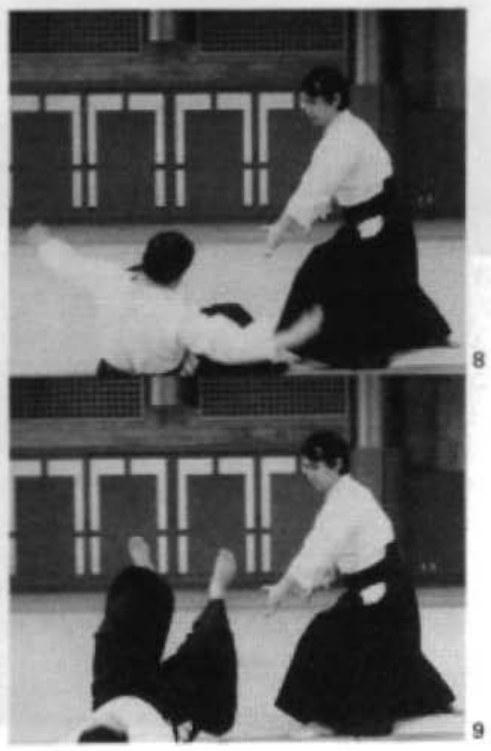 Daitoryu photo 124