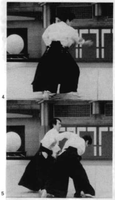 Daitoryu photo 127