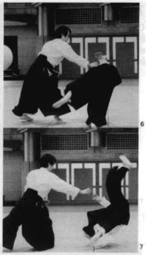 Daitoryu photo 128