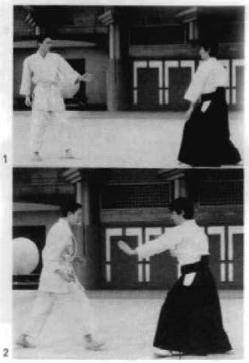 Daitoryu photo 130