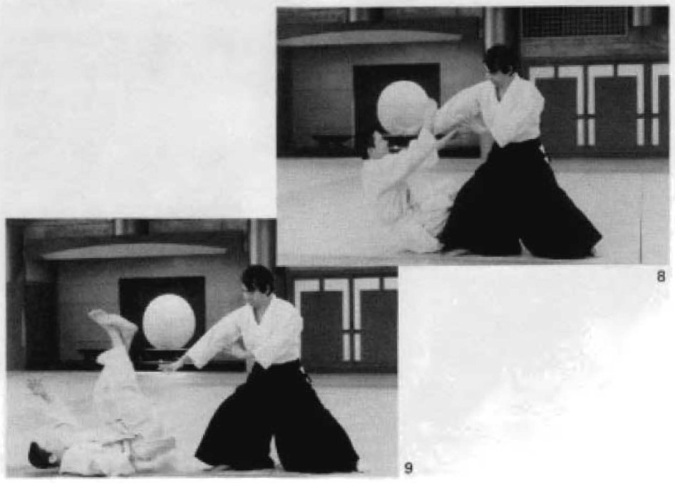 Daitoryu photo 133