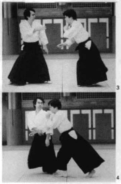 Daitoryu photo 134