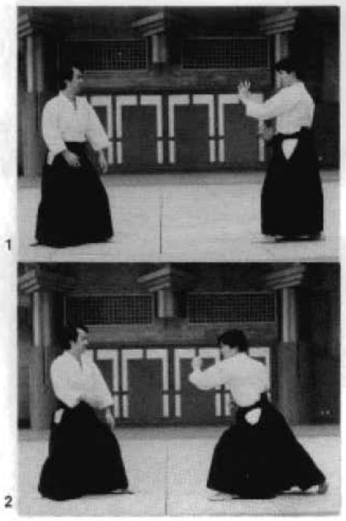 Daitoryu photo 135