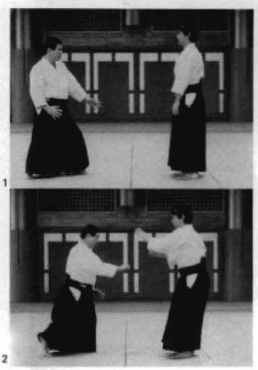 Daitoryu photo 138