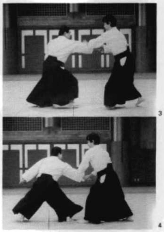 Daitoryu photo 139