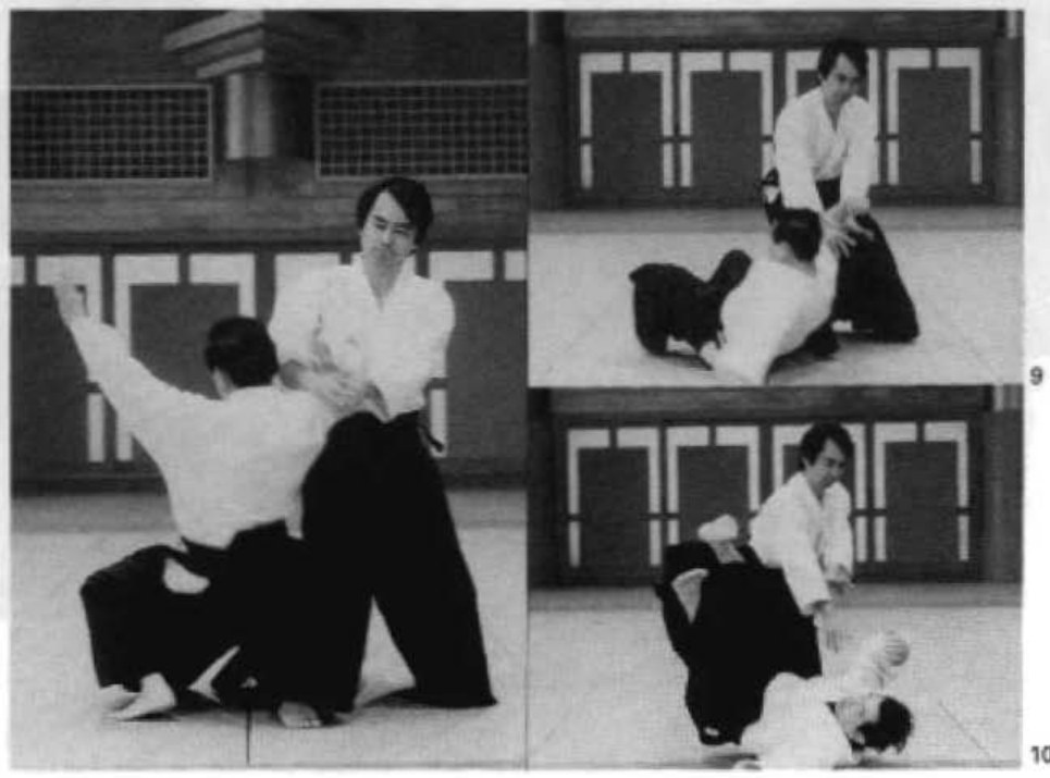 Daitoryu photo 141