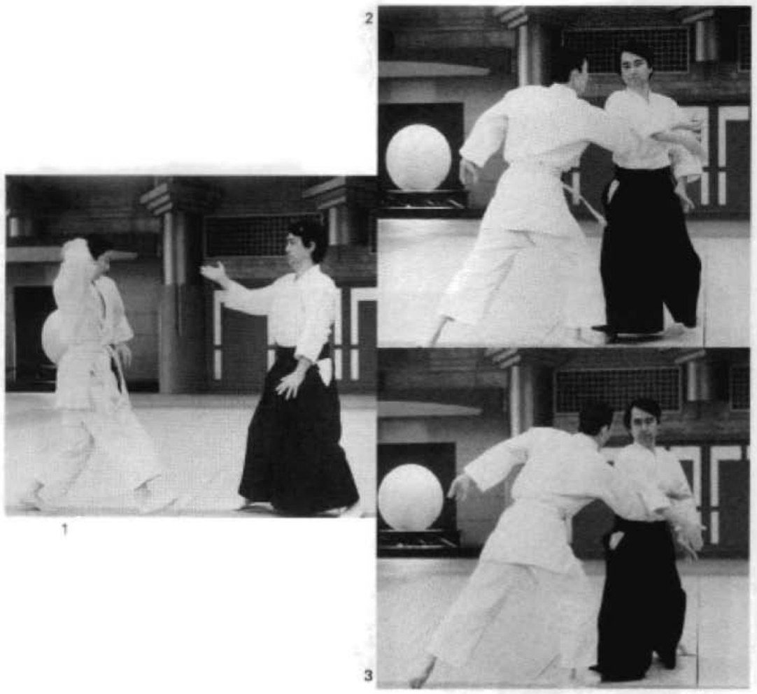 Daitoryu photo 142