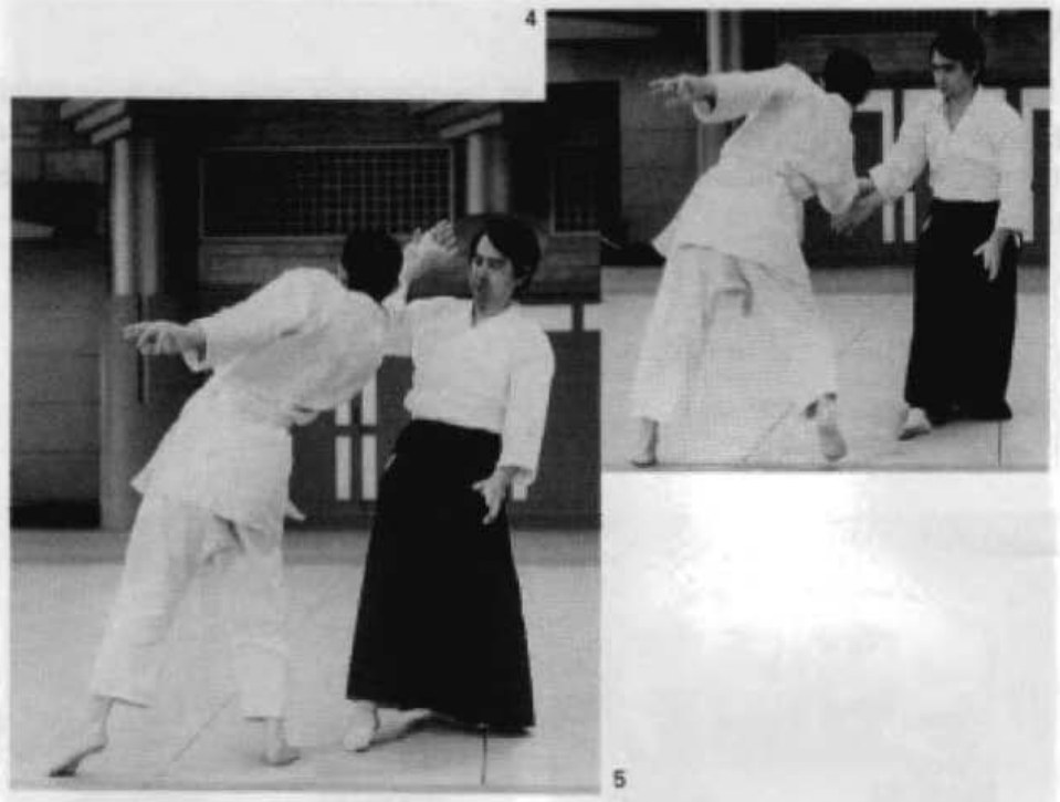 Daitoryu photo 143