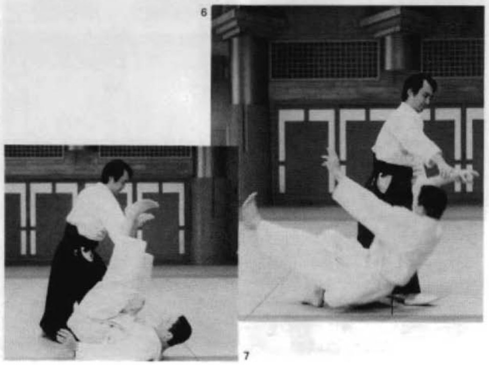 Daitoryu photo 144