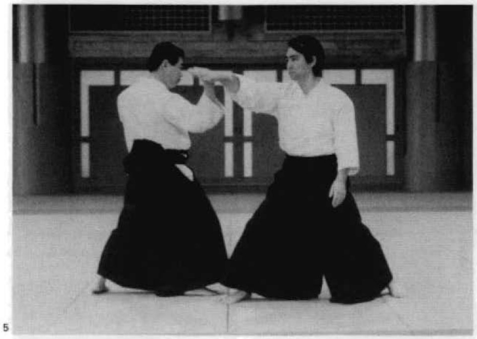 Daitoryu photo 147