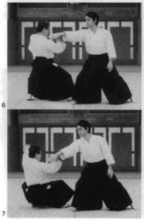 Daitoryu photo 148