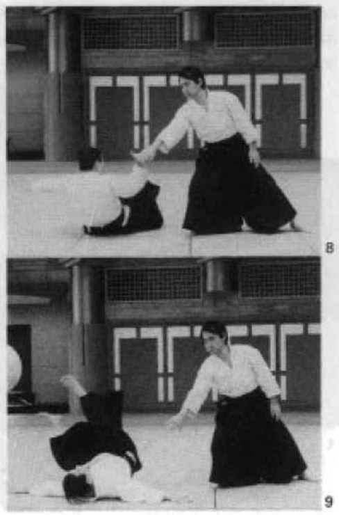 Daitoryu photo 149