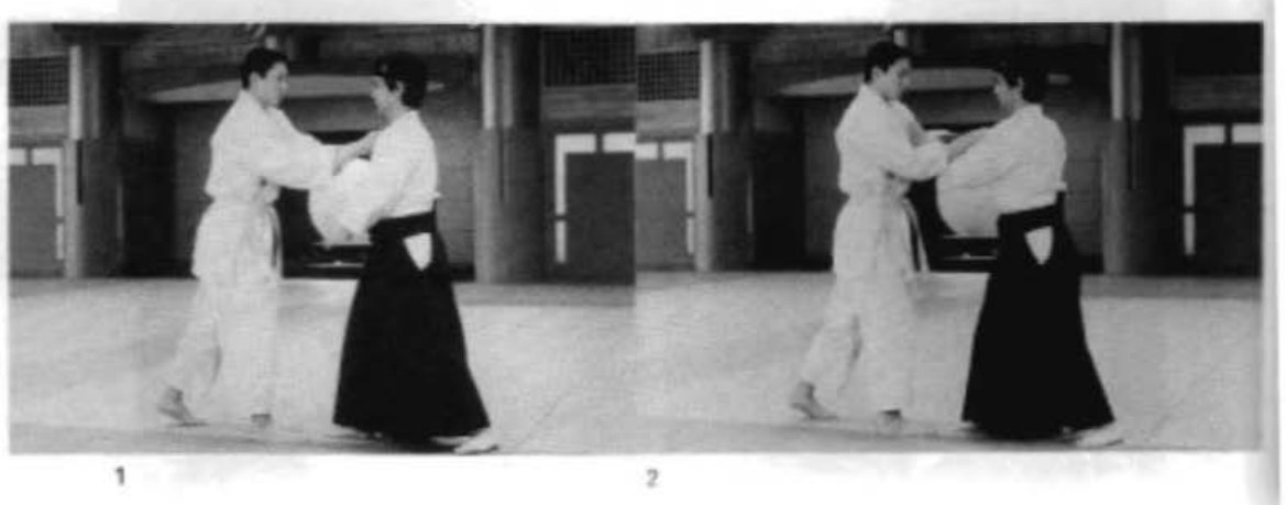 Daitoryu photo 150