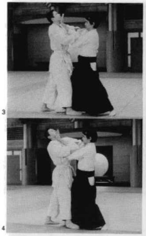 Daitoryu photo 151