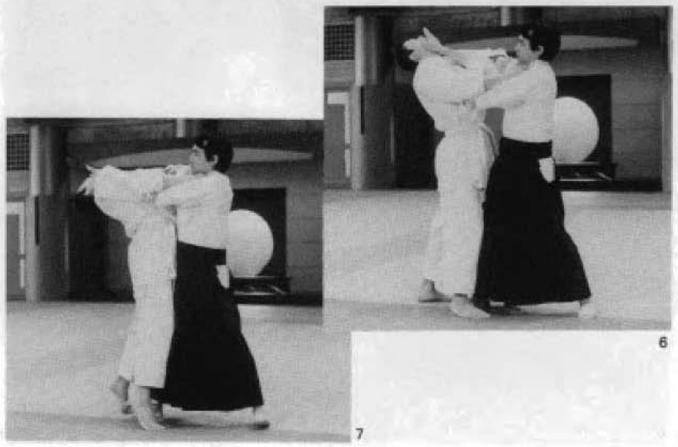 Daitoryu photo 153