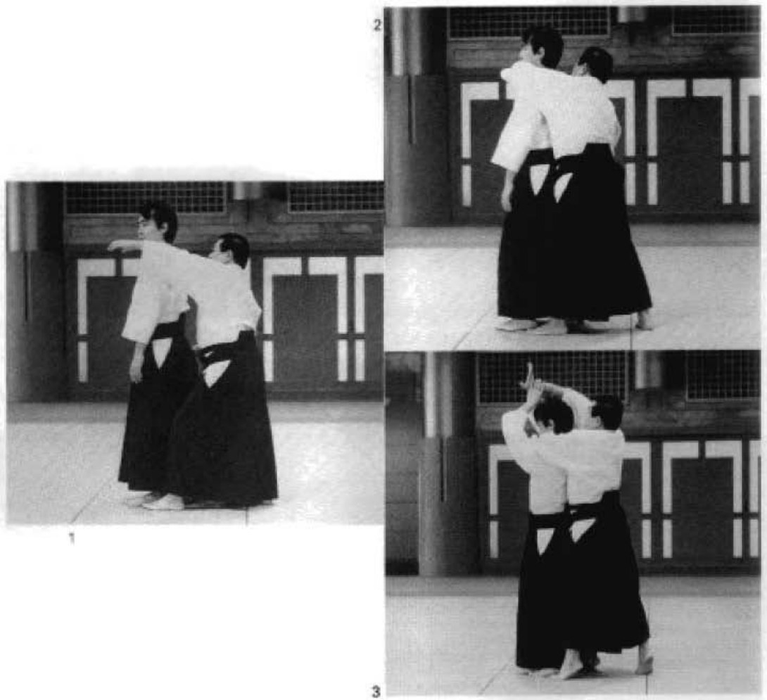 Daitoryu photo 154