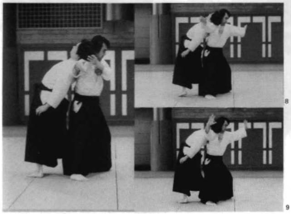 Daitoryu photo 159