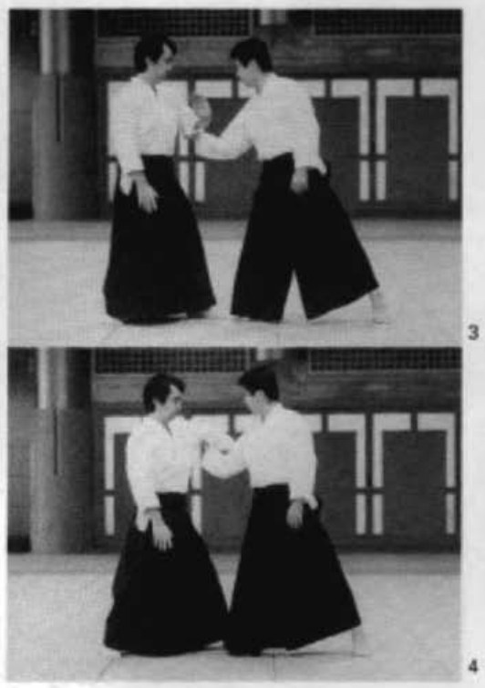 Daitoryu photo 161